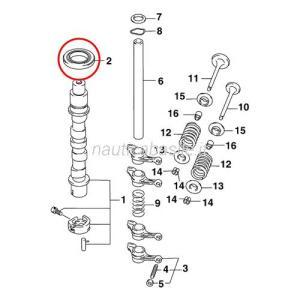 Paraolio evinrude johnson brp