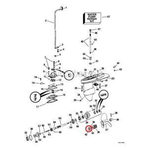 Paraolio evinrude johnson brp