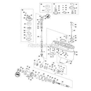 Piede completo 40 e-tec grafite evinrude