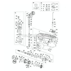 Piede completo motore 200ho>300 evinrude bianco e-tec g1 brp