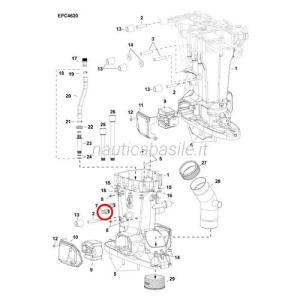 Raccordo evinrude johnson brp