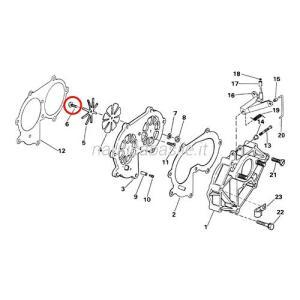 Vite evinrude johnson brp passo americano (usa)