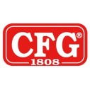 Cfg Srl